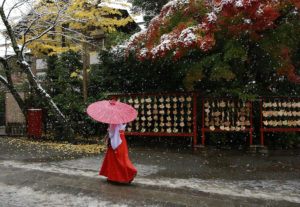 Una miko, cioè una donna a servizio in un tempio shintoista, cammina sotto la neve verso il tempio di Tsurugaoka Hachimangu Shrine. È la prima nevicata dell'anno ed è la prima volta da più di 50 anni che avviente in novembre (AP Photo/Shizuo Kambayashi)